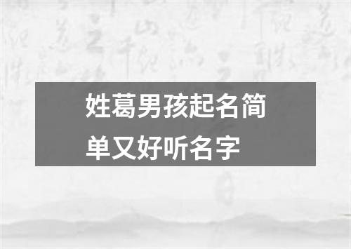 姓葛男孩起名简单又好听名字