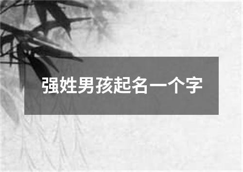 强姓男孩起名一个字