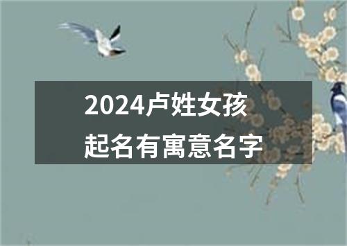 2024卢姓女孩起名有寓意名字