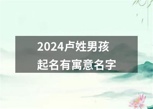 2024卢姓男孩起名有寓意名字