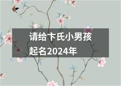 请给卞氏小男孩起名2024年