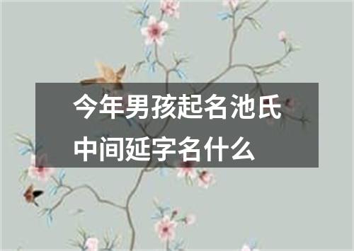 今年男孩起名池氏中间延字名什么