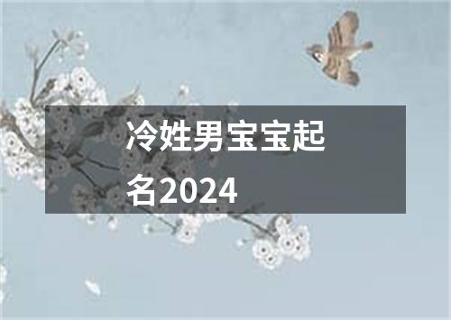 冷姓男宝宝起名2024