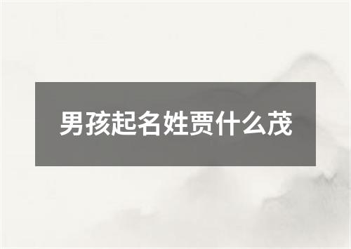 男孩起名姓贾什么茂