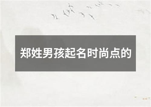 郑姓男孩起名时尚点的