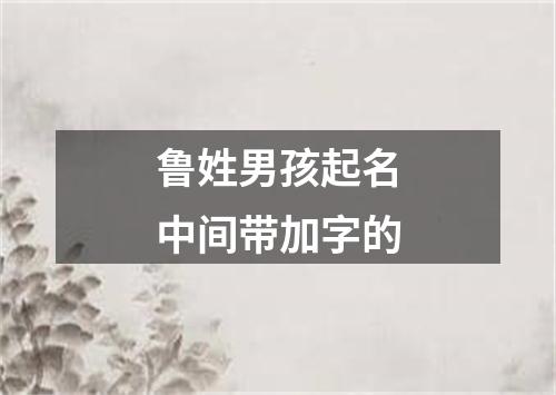 鲁姓男孩起名中间带加字的