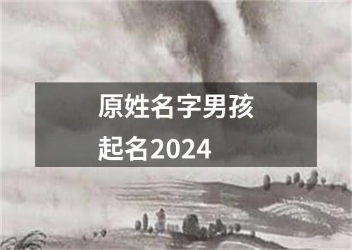 原姓名字男孩起名2024