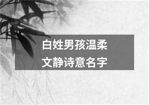 白姓男孩温柔文静诗意名字