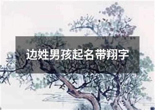 边姓男孩起名带翔字