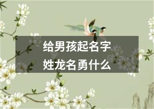 给男孩起名字姓龙名勇什么