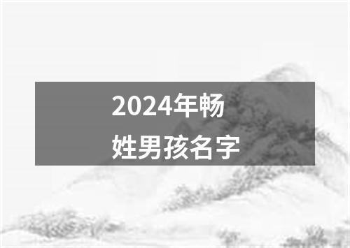 2024年畅姓男孩名字