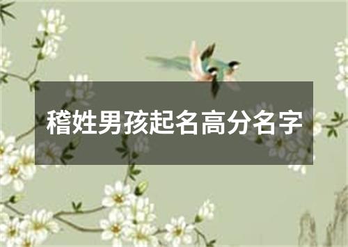 稽姓男孩起名高分名字