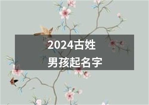 2024古姓男孩起名字