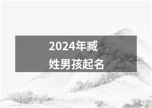 2024年臧姓男孩起名