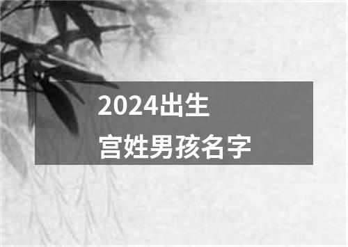 2024出生宫姓男孩名字