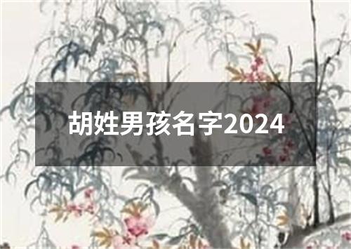 胡姓男孩名字2024