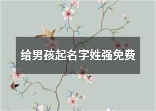 给男孩起名字姓强免费