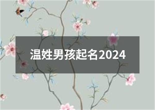 温姓男孩起名2024