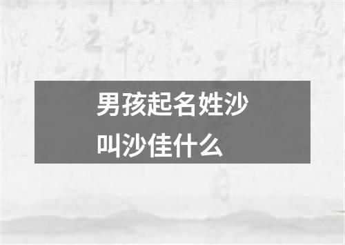 男孩起名姓沙叫沙佳什么