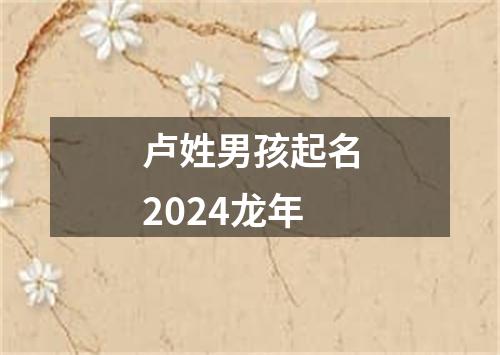 卢姓男孩起名2024龙年