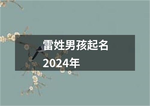 雷姓男孩起名2024年