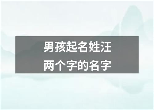 男孩起名姓汪两个字的名字