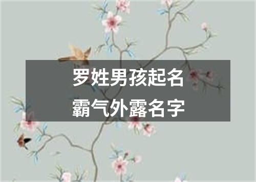 罗姓男孩起名霸气外露名字