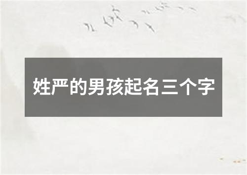 姓严的男孩起名三个字