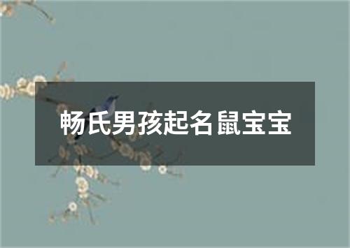 畅氏男孩起名鼠宝宝