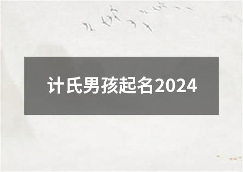 计氏男孩起名2024