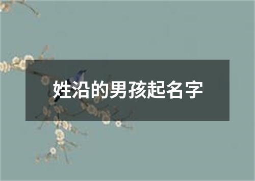 姓沿的男孩起名字