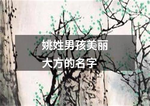 姚姓男孩美丽大方的名字