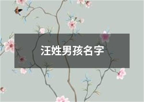 汪姓男孩名字