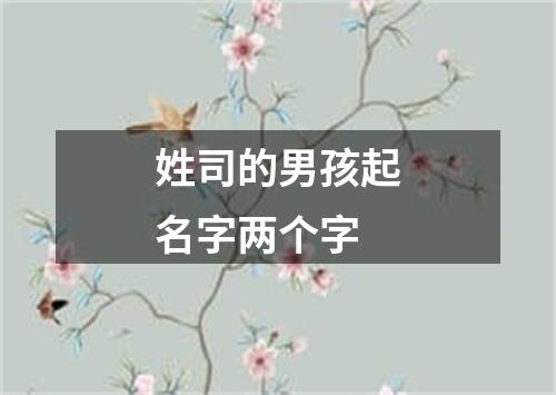 姓司的男孩起名字两个字