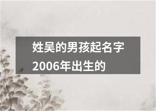 姓吴的男孩起名字2006年出生的