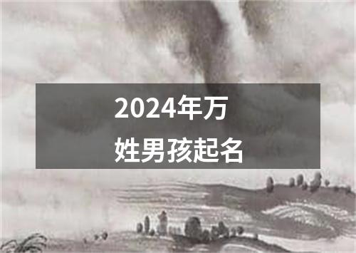 2024年万姓男孩起名