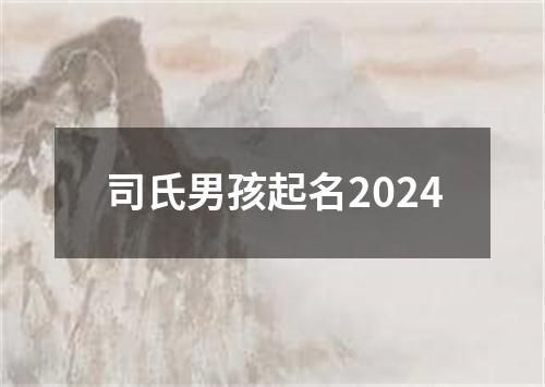 司氏男孩起名2024