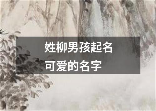 姓柳男孩起名可爱的名字