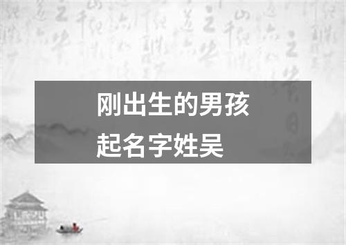 刚出生的男孩起名字姓吴