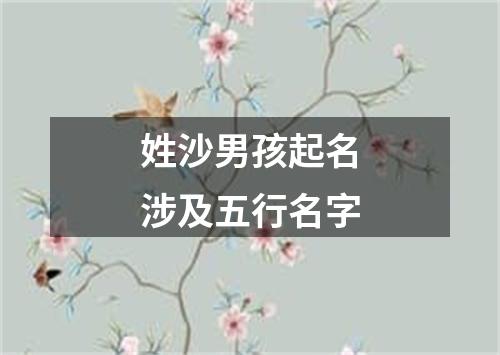 姓沙男孩起名涉及五行名字