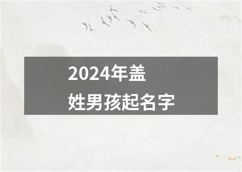 2024年盖姓男孩起名字