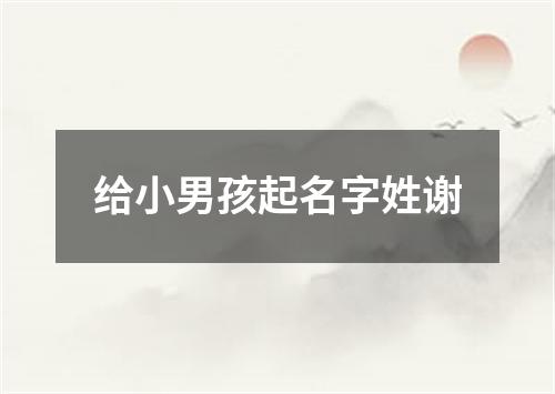 给小男孩起名字姓谢