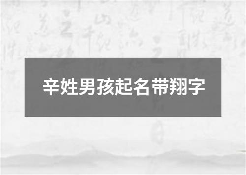 辛姓男孩起名带翔字