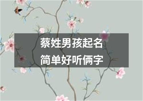 蔡姓男孩起名简单好听俩字