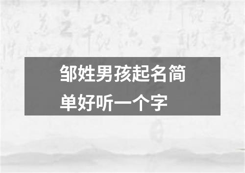 邹姓男孩起名简单好听一个字