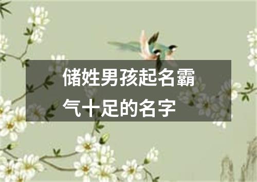 储姓男孩起名霸气十足的名字