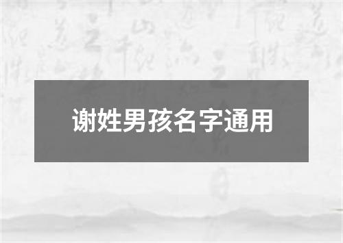 谢姓男孩名字通用