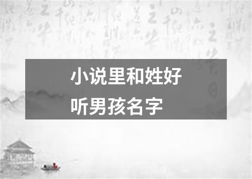 小说里和姓好听男孩名字