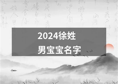 2024徐姓男宝宝名字