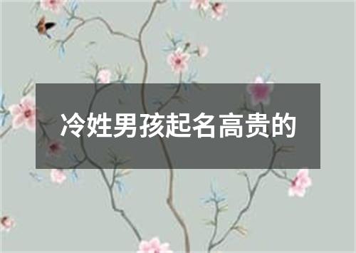 冷姓男孩起名高贵的